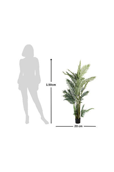 Leafora Kentia Palm Tree – 150 cm