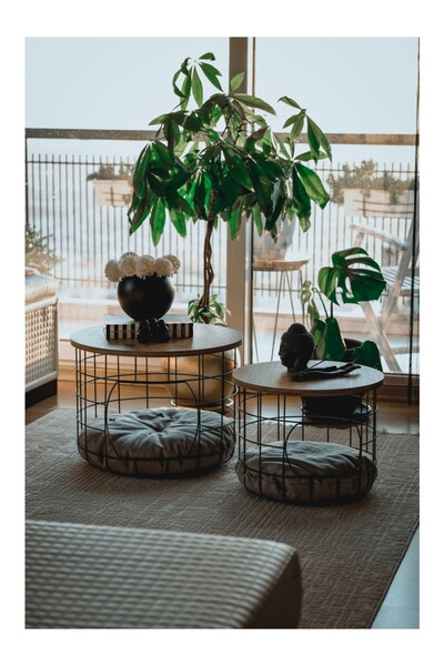 Blamb UYAN EV ÜRÜNLERİ 2 Li Kedi Yuvalı Sepet Sehpa Beyaz Ahşap Tablalı Minde...