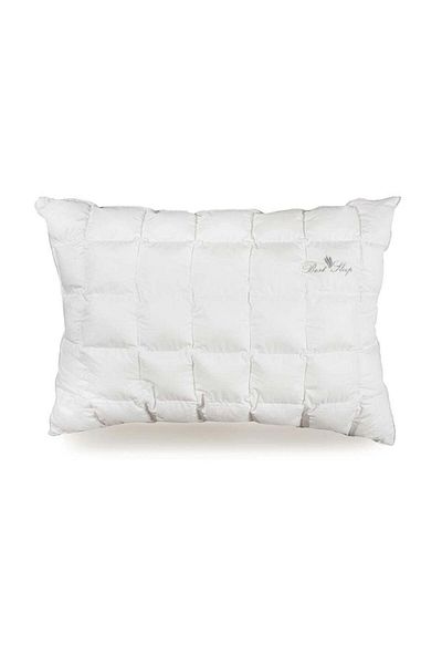 BEST SLEEP Perna Anatomica, Best Sleep, Silver, fibra siliconata 50x70 cm