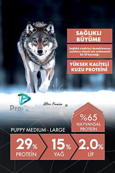 Pro Performance PUPPY DOG ORTA VE BÜYÜK IRK SOMONLU VE YABANMERSİNLİ 12KG