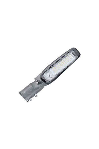 Braytron LAMPA STRADALA CU LED ST89 30W 4000K GRI IP66 D60mm