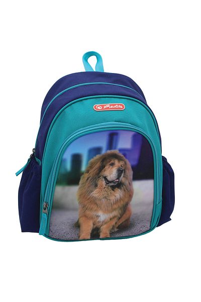 Herlitz Cool Backpack, Lightweight, Water Resistant, Recycled Polyester, Padded Straps, Boss Phantom