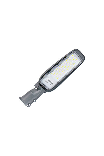 Braytron LAMPA STRADALA CU LED ST89 50W 6500K GRI IP66 D60mm