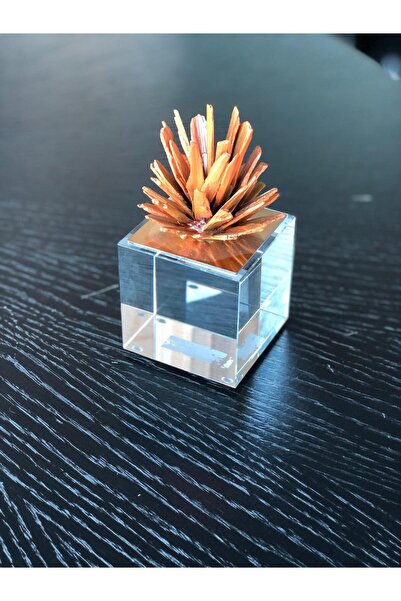 Yasmina Home CAM KAİDELİ KAHVE AĞAÇLI DEKOR OBJE 8x8x15cm