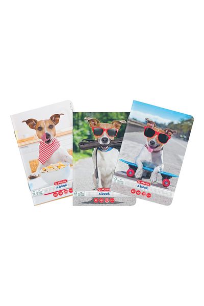 Herlitz Caiet Cool Dog A5, Culoare Multicoloră, Material Hârtie, 48 de Coli, Format Grilă