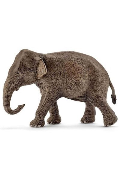 SCHLEICH figurine, Wild Life, Asian elephant, female