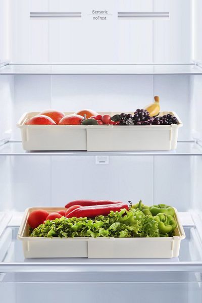 Nandy Home Minimax 2 Piece Adjustable Sliding Slide Refrigerator Organizer Organizer