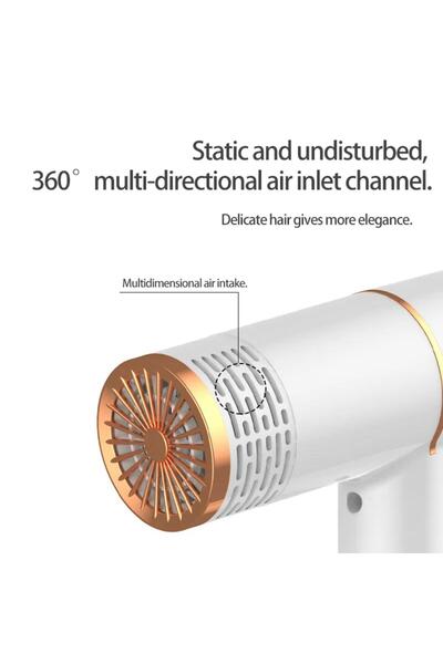 Denx Strong Wind Hair Dryer Salon Dryer Hot Air and Cold Air Wind Negative Ionic Hammer Blower.