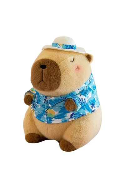 MASHASHOP Set Plush Toy and Blanket, Capybara, Multicolor, 45 cm