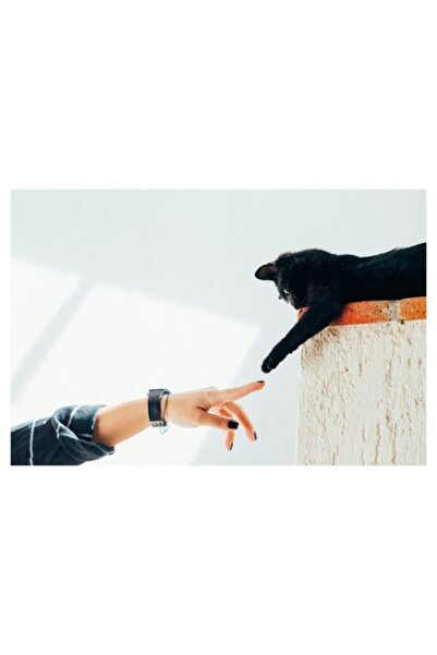 OEM Tablou Canvas, 'Tandrete intre om si pisica neagra', 70 x 50cm