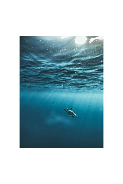 OEM Tablou Canvas, 'Testoasa calatoare in oceanul albastru'