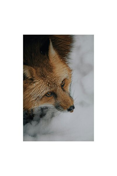 OEM Pictură pe pânză, „Vulpe în zăpadă visând iarna”, 50 x 90 cm