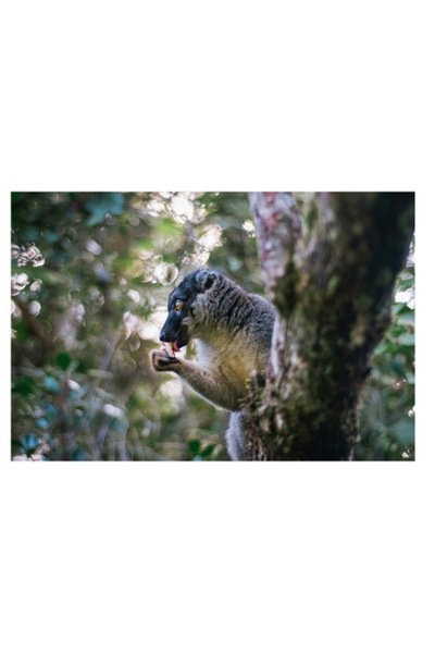 OEM Tablou Canvas, "Nu stiu cine este in imagine.", 90 x 50cm