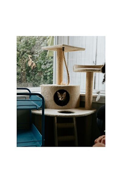 OEM Tablou Canvas, "Pisica enigmatica in ascunzisul ei", 50 x 70cm