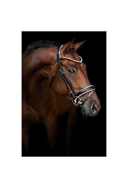 OEM Tablou Canvas, "Maretia nobilului armasar in intuneric", 70 x 100cm