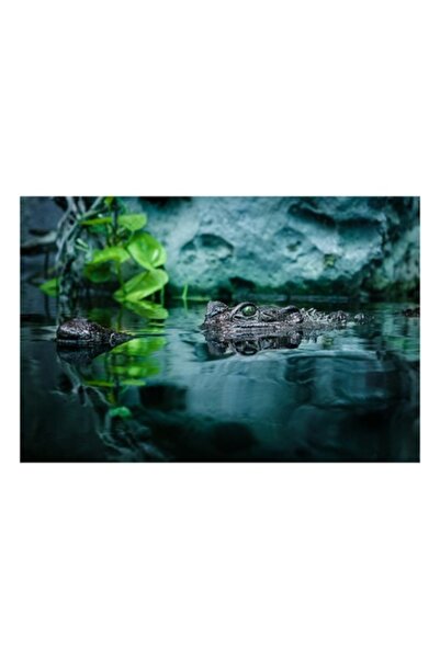 OEM Tablou Canvas, "Crocodilul pandind in tacerea apelor", 54 x 39cm