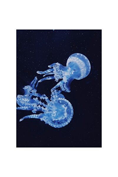 OEM Tablou Canvas, "Meduze dansand in oceanul albastru", 100 x 150cm