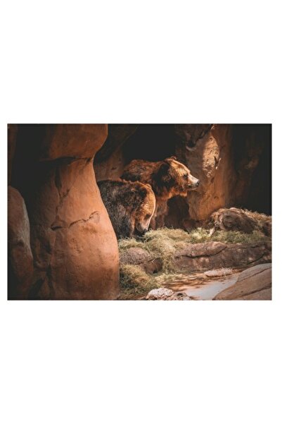 OEM Tablou Canvas, "Ursii contempla pestera luminoasa"