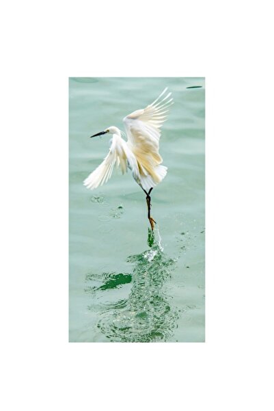 OEM Tablou Canvas, "Dansul elegant al egretei albe", 150 x 100cm