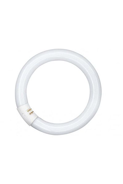 Osram Tub Fluorescent Circular G10Q, 32W, 840C, 2180 lm