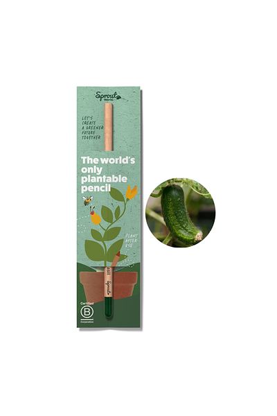 Natural Plantable Pencil Sprout, Cucumber