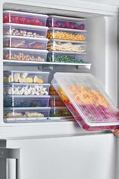 Bundeba 1 Adet Saklama Kabı Organizer Büyük Boy DeepFreezer (2.4 LT)
