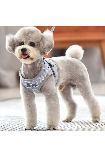 KINGLEAD Set ham și lesă pentru câini, material textil, alb/albastru, mărimea XS