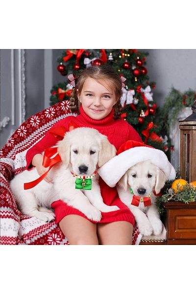 WELLXUNK Set of 4 Christmas bow ties for dogs and cats Wellxunk®, ribbon, multicolor, 37 cm / 21 cm