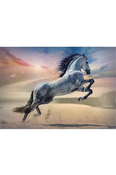 Mercaton Puzzle Mercaton, 1000 Piese, Majestic Horse Photo