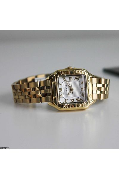 Chaperone Ch002315 Women's Wrist Watch with Steel Band