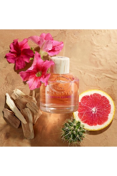 Hollister Canyon Escape EDP W 100 ml