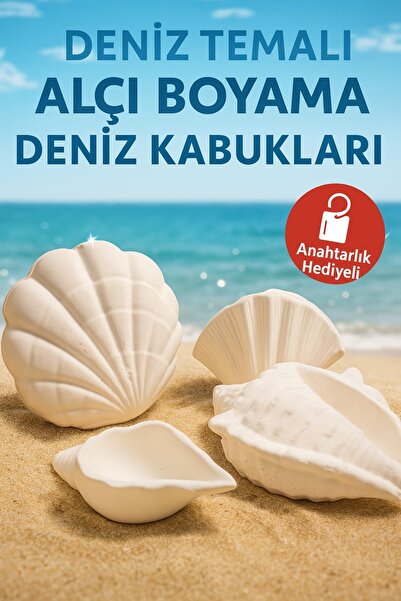 Genel Markalar 🏖️ Deniz Temalı Alçı Boyama Seti – Deniz Kabukları (4’lü) + A...