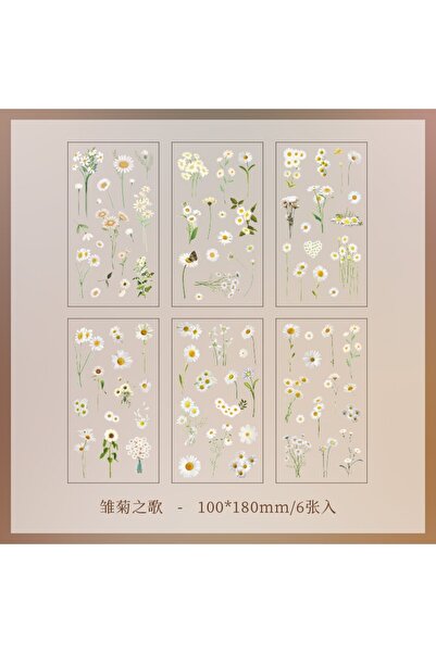 Choice7 2 ملصقات شفافة من مادة PET من JIANQI، 6 قطع/عبوة، مواد سكرابوكينغ، اص...