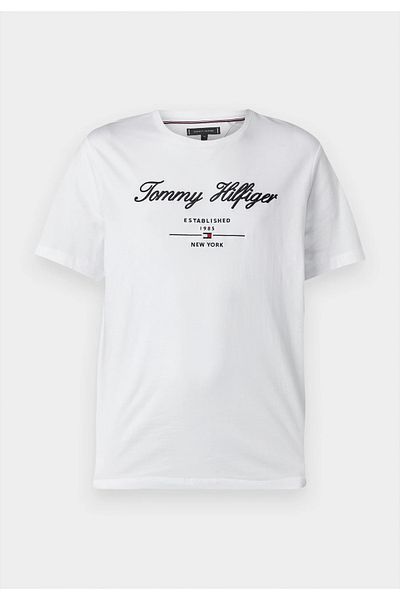Tommy Hilfiger Sport .._Tommyhilfiger Men's Organic Cotton Logo T-Shirt