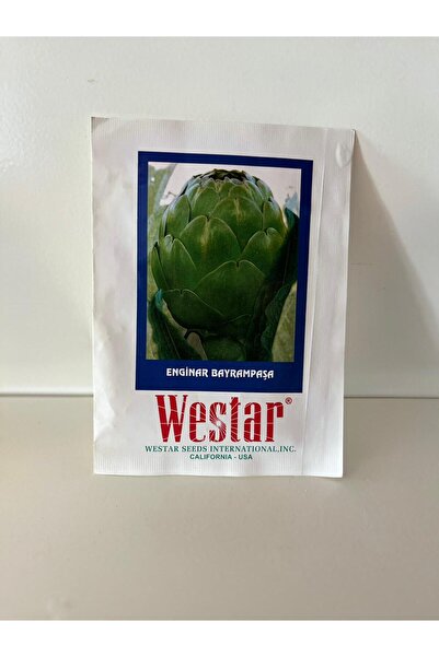Westar Enginar Bayrampaşa Tohumu 10 Adet