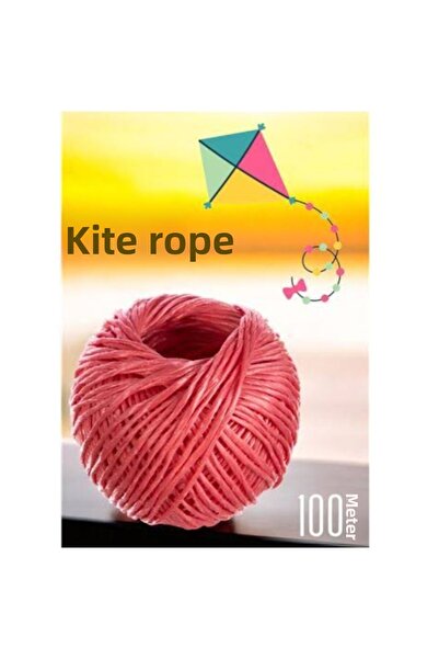 Temsan (2 bucăți) Snur durabil pentru zmeu de 2×100 de metri, potrivit pentru...