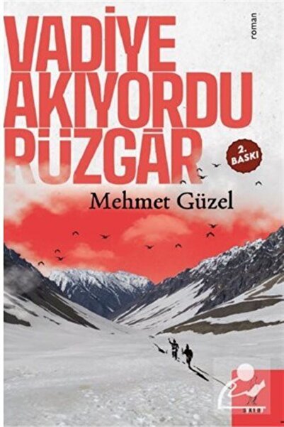 ŞYK Kitap Vadiye Akıyordu Rüzgar
