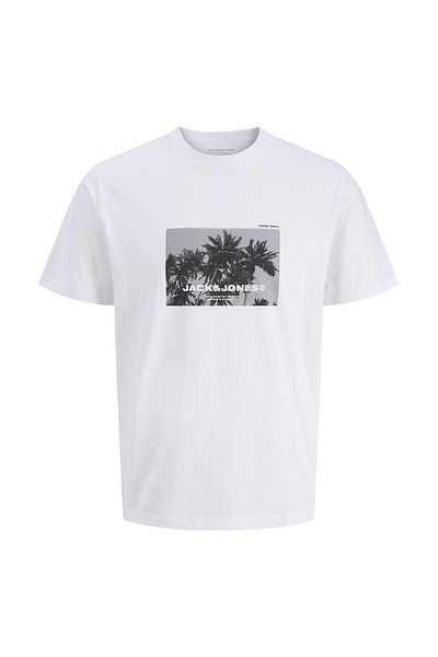 Jack & Jones Ανδρικό μπλουζάκι Jcoversion 12286117 Λευκό