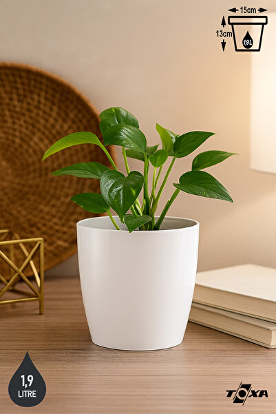 ToXA 1.9 Litre 15cm Drenaj Izgaralı Kirli Beyaz Tabaksız Parlak Plastik Yakut...