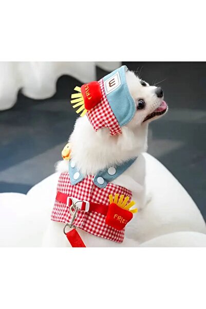 Payidar Hediyelik ŞAPKALI GÖĞÜS TASMASI SET (3 PARÇA) Nefes Alabilir ve Konforlu