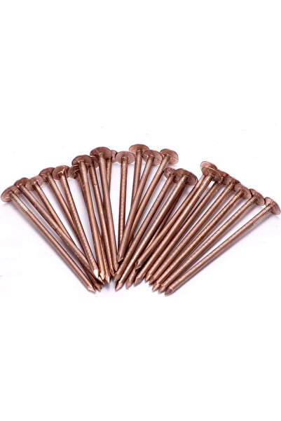 D GARDEN BAKIR ÇİVİ 6CM (100ADET)