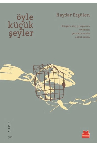 Kırmızı Kedi Yayınevi Öyle Küçük Şeyler / Haydar Ergülen /
