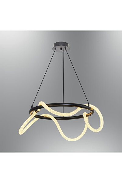 Özcan Aydınlatma Özcan Aydınlatma 3240-1A-19 50cm Daire Hortum Avize Siyah