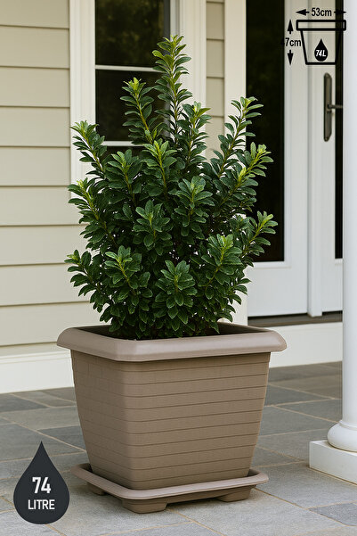 ToXA Hisar Kale Tabaklı Saksı 74,3 Litre Mocha Kahve 53cm Kare Büyük Plastik ...