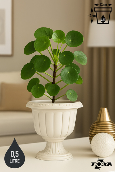 ToXA Nergis Saksı 13cm Ayaklı Plastik Deliksiz Çiçek Saksısı