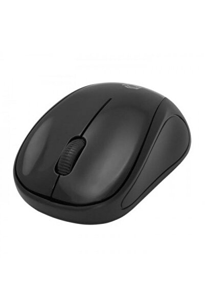 FRISBY FM-260WM Kablosuz siyah mouse