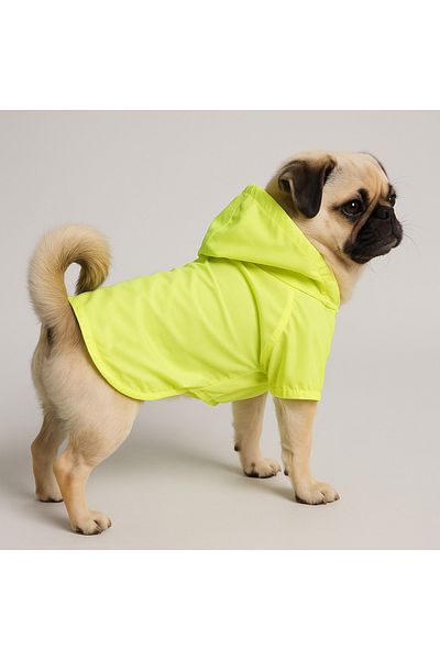 MPZ Pets Phosphorescent Green Mesh Raincoat