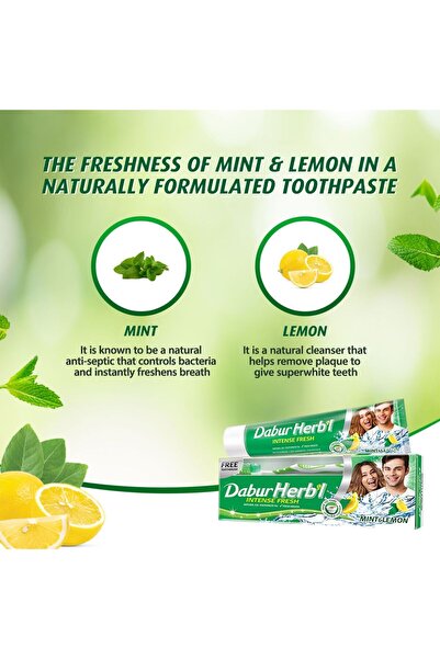 Dabur Herbal Intense Fresh Gel Toothpaste 150 Gstrong Teeth & Gum Care With Clove Oil