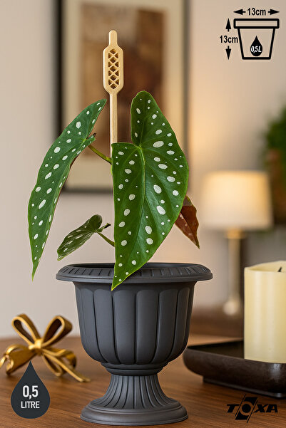 ToXA Nergis Saksı 13cm Ayaklı Deliksiz Plastik Çiçek Saksısı