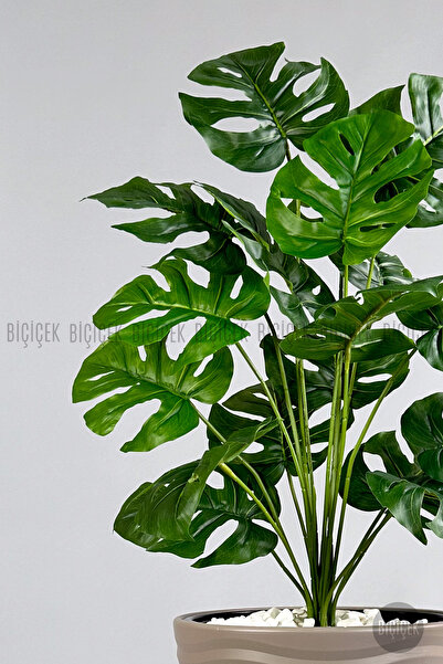 BİÇİÇEK Yapay Çiçek Salon Bitkisi Monstera Deve Tabanı Bej Renk Kumsal Saksıda
